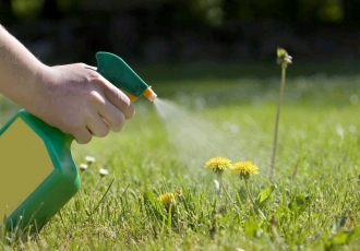WAYS TO KILL WEEDS NATURALLY IN YOUR FARM